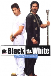 Містер Уайт і містер Блек