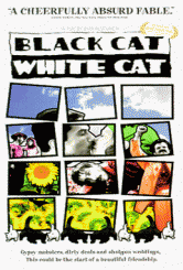 Чорна кішка, білий кіт