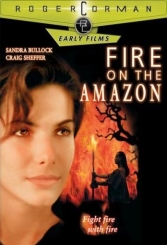 Амазонка в огні