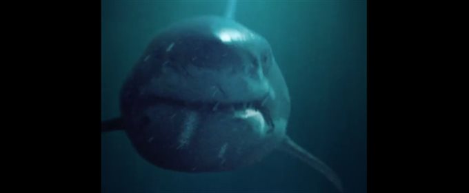 Анімований постер з акулою «Мілина»