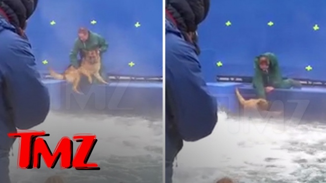 Собаку против воли кидают в бурлящую воду