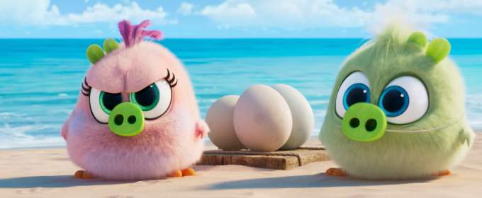 Милые птенцы играют в свиней в третьем фрагменте анимации «Angry Birds в кино 2»